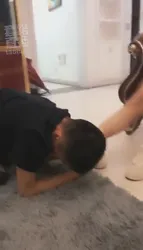 首次调狗