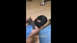 傲世蓝狐 玩小刚这只犬