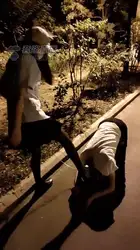 户外狗狗