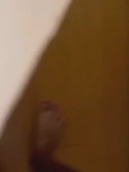 杭州美女姐姐