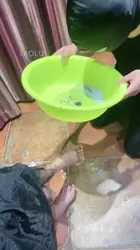 逗逗 带素人固定式深喉 狂喷