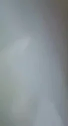 黑丝小少妇背影真撩人很适合打桩