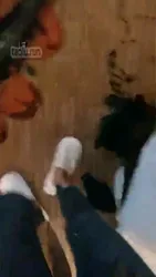 你太骚 胶衣调教贱狗