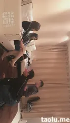 双S双狗互动