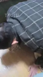 帆布鞋 喂食 圣水