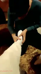 棉袜 裸足 羞辱贱狗 上集