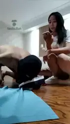 玩玩新狗狗