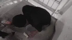 未知女主 素人原味 暴力足虐