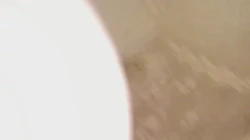 私影店妹子 单约