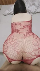 新手刚玩 欢迎交流