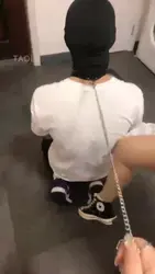 节后回来双主玩狗狗