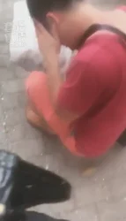 公园随处虐狗骑头踩踏