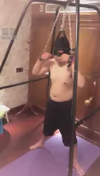 秋千踢狗 爆打 踢裆 拳击虐狗