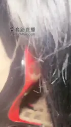 维因 户外调教