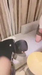 双女主调教