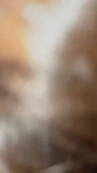 手势验证，能看到奶子吗？