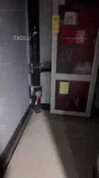莉莉丝 楼道里调教狗奴