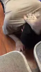 强迫吃黄金