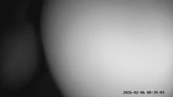 特写和91年离异少妇