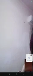 高跟黑丝御姐撩骚磕炮