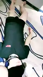 帆布鞋玩狗