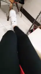 狗子的日常生活
