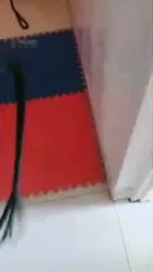 私奴家奴的一天