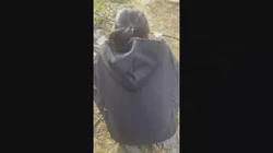 这才是真实的农村性爱在狗舍边做爱放松 趴墙后入像母狗