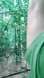 双主野外虐狗