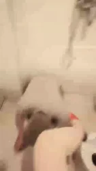 调教厕奴 舔马桶