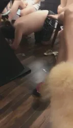 公共餐厅调狗