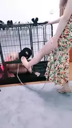 调教圈养狗