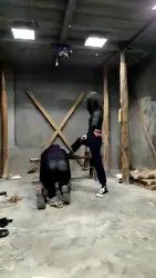 女王虐老狗