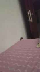 骚熟女口交