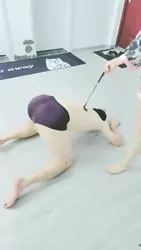 双s训狗舔白皙美脚 上