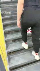 高清 双主健身房训狗 踢踹