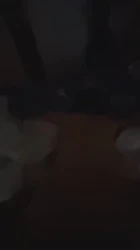大白屁股的前女友