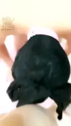 同好共享 调教贱狗啦 小狗崽子 挺贱的啊