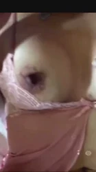 老熟女人妻