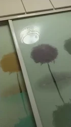 被骚母猪舔奶头，差点被舔射