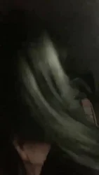 户外车内玩狗 二