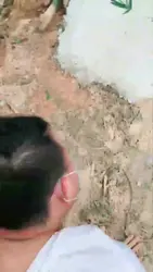 户外 暴打贱奴 舔鞋袜