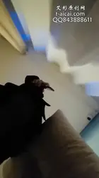 嗲音小姐姐的暴力踩踏