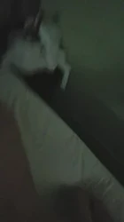带老婆来重庆玩了，前五秒是生活实际样子，回酒店就先泻火
