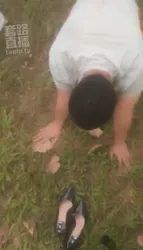 户外遛狗 有路人