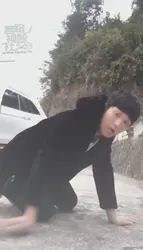 同好共享 户外训狗