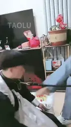 红杉 喂食