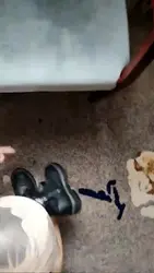 学生马丁靴虐丝袜套头狗