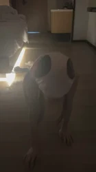 调教08母狗之内裤套头爬行拉丝