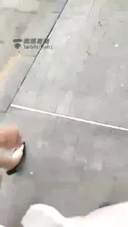 大白天公园遛狗